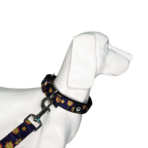 Spring Bloom Pin Buckle Collar Application: Dog