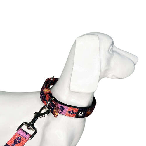 Zootopia Pin Buckle Dog Collar