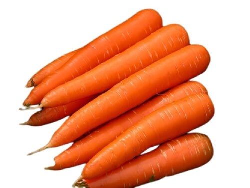 Fresh Carrot Moisture (%): 95%