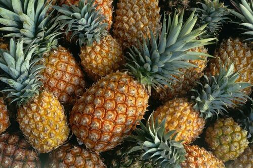 Greenish-Yellow Fresh Pineapples