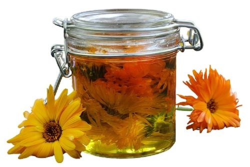 Calendula Oil