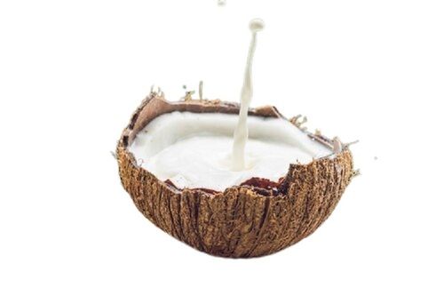 Coconut Milk