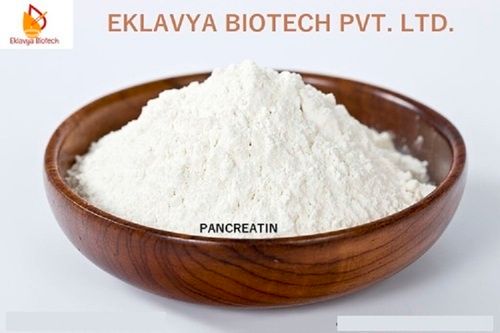 Pancreatin Enzyme