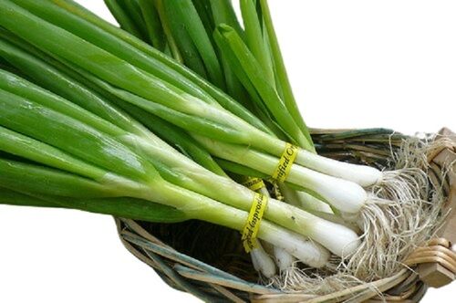 Spring Onion Moisture (%): 25%