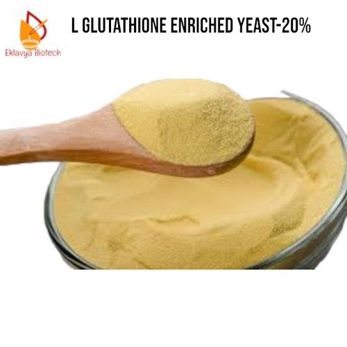 L Glutathione Enriched Yeast Extract Powder 20%