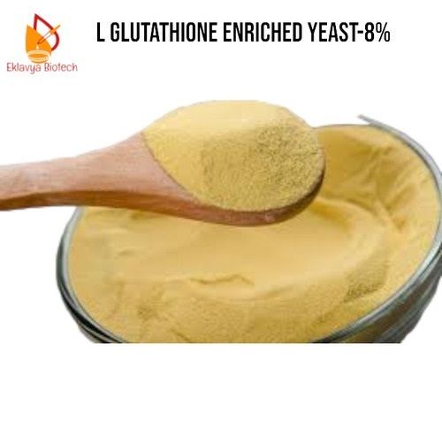 L Glutathione Enriched Yeast Extract Powder 8%