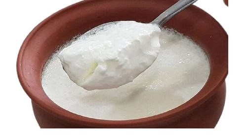 Fresh Curd