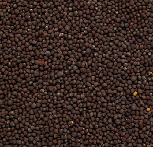 Black Mustard Seeds