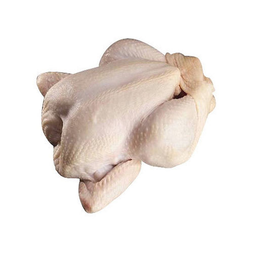 Halal Whole Frozen Chicken