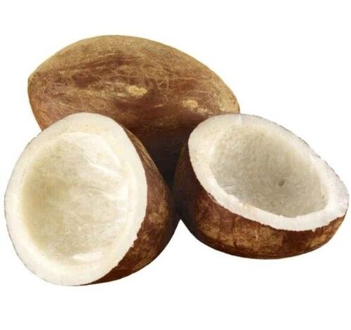 Dry Coconut