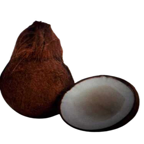100 Pure Natural Fresh Coconut At Best Price In Solapur Waghmode Brothers 0675