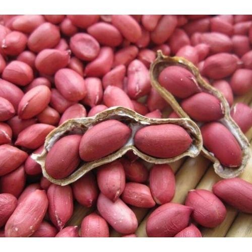 High-nutrition Red Skin Peanuts