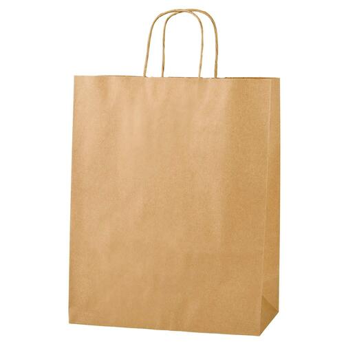 Twisted Handle Paper Bag