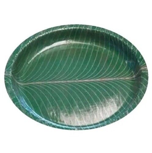 Disposable Green Paper Plate