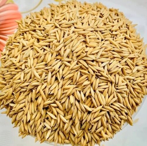 Yellow Organic Medium-Grain Paddy Rice