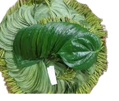 Betel Leaves