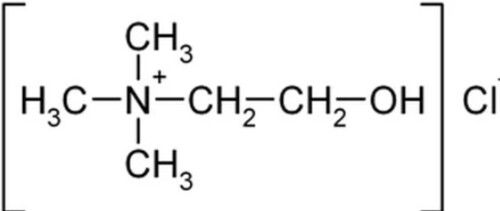 500 mg/ml Solubility In Water Choline Salts