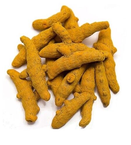 Dried Turmeric Finger