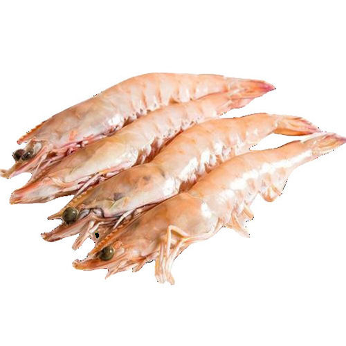 Frozen Shrimps