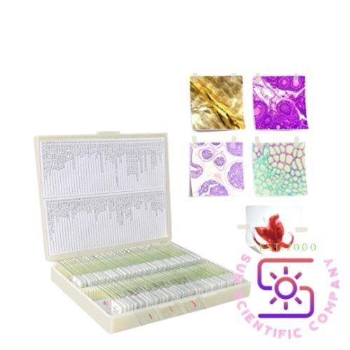 Educational Microscopic Slides for Schools