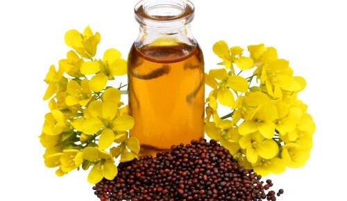 Yellow Mustard Oil