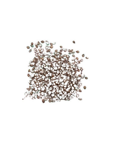 A Grade Indian Origin 100 Percent Purity Natural Brown Dried Coriander