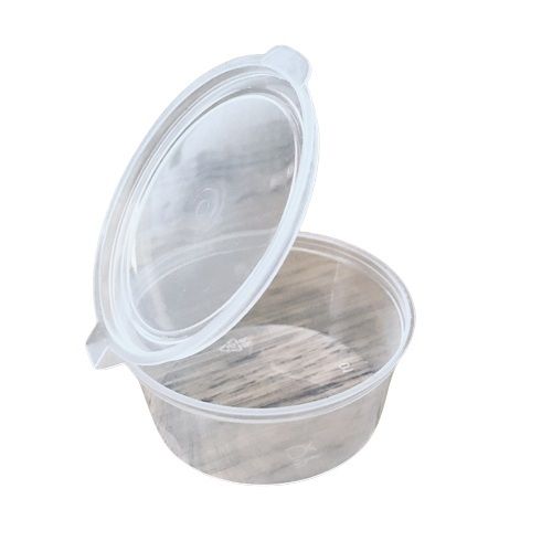Glen R2- 50ml Hinged Small Plastic Container