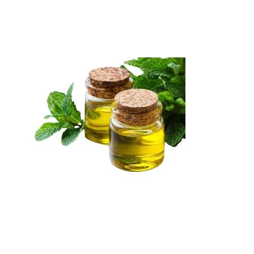 Mentha Oil - 99% Pure Mentha Arvensis Extract, Refreshing Aroma and Versatile Applications for Aromatherapy, Digestive Aid, Skin Care, Pain Relief, and Insect Repellent