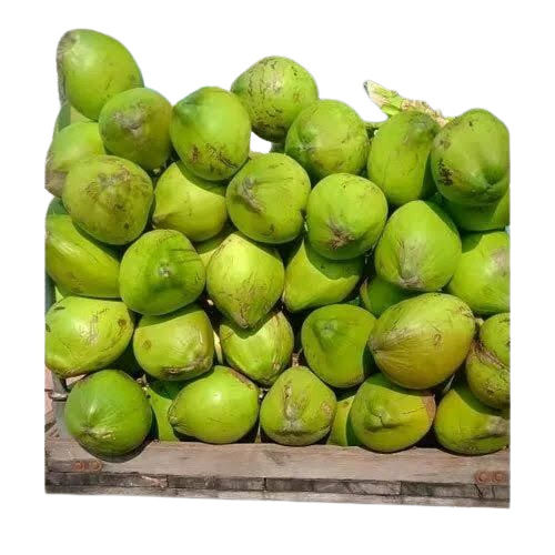 green coconut