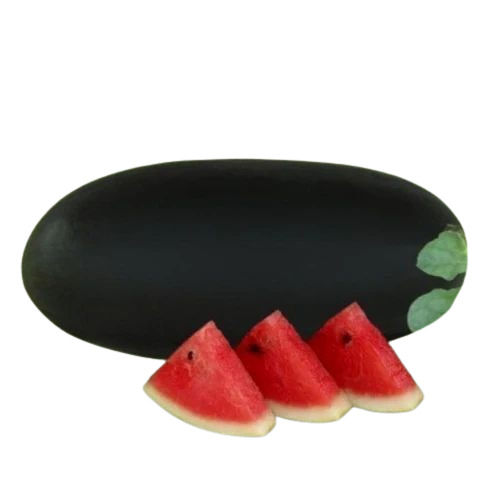 Agricultural Watermelon Seeds