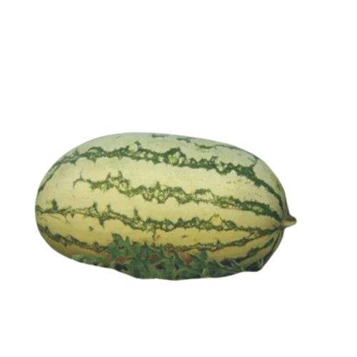 Hybrid Watermelon Seeds