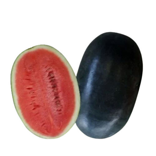 A Grade 100 Percent Purity Agricultural Hybrid Kuber Watermelon Seeds for Plantation