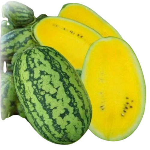 A Grade 100 Percent Purity Agricultural Hybrid Pukhraj Watermelon Seeds for Plantation