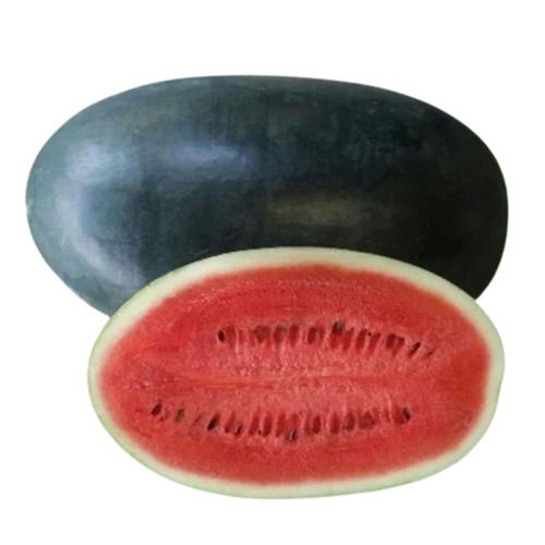 Watermelon Seeds For Plantation
