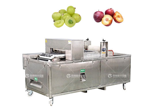 Fully Automatic Citrus Oil Extract Machine