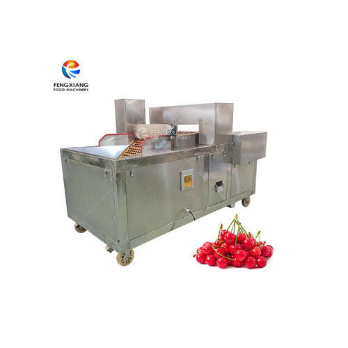 Fully Automatic Fruit Extraction Machine