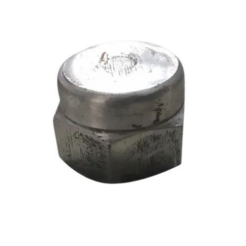 Mild Steel Premium Design Cap Nut