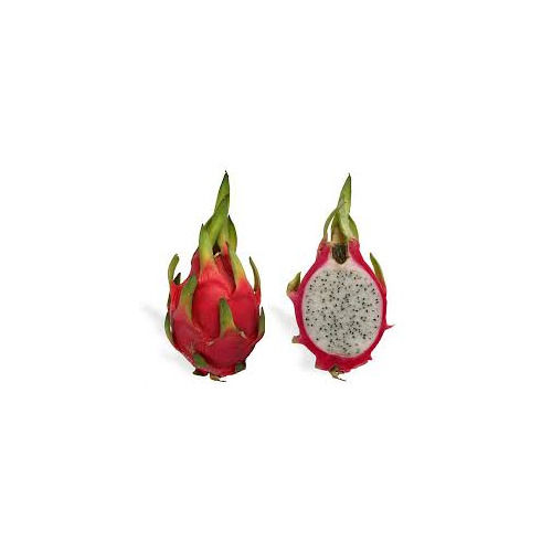 Dragon Fruit - Organic Vegan Delight, Sweet Pink Flesh with Exotic Night-Blooming Flowers