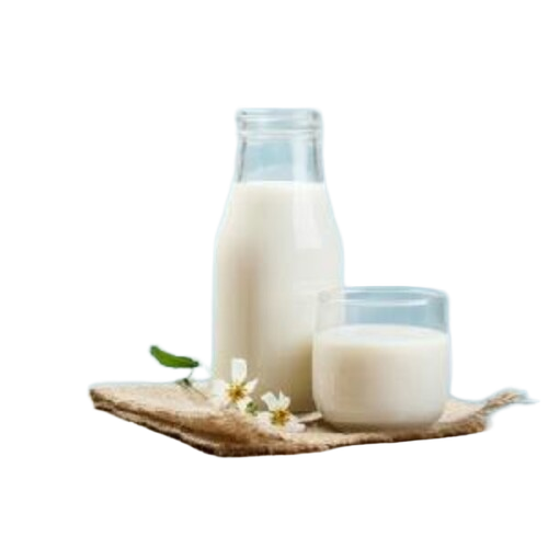 Camel Milk