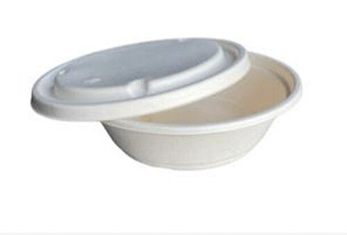 Eco Friendly Disposable Sugarcane Food Container