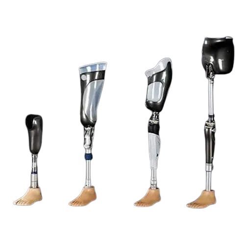 Fine Finish Lower Extremely Artificial Legs