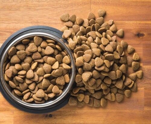 Brown Color Heathy And Tasty Dry Pallet Food For Cat