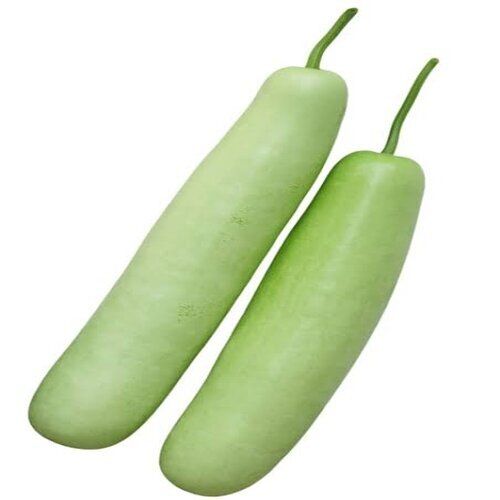 Avira Seeds Light Green Bottle Gourd Seeds