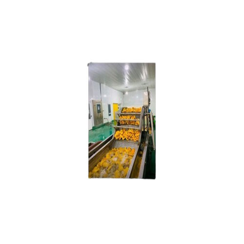 Industrial Silver Automatic Fruit Washing Conveyor