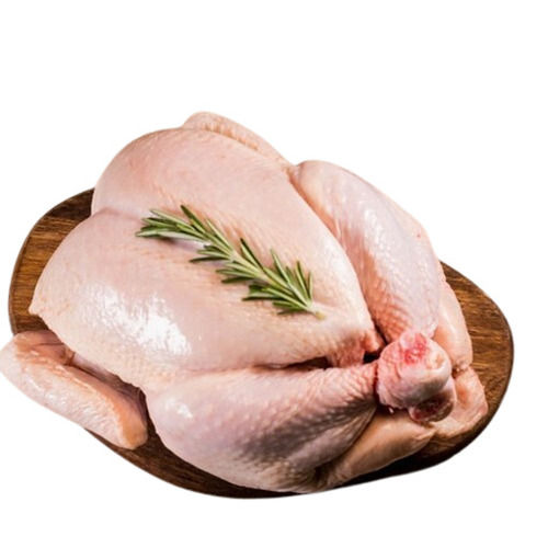 Frozen Chicken Meat