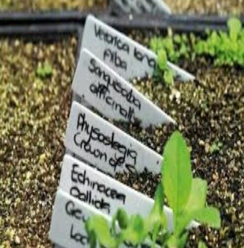 Plant Label