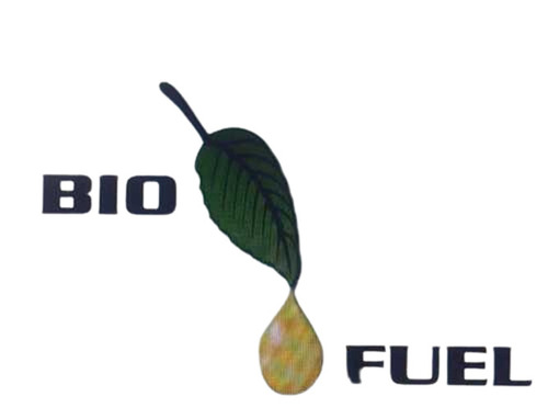 A Grade 100 Percent Purity Eco-Friendly Liquid Form Biomass Fuel