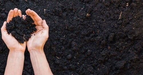 Vermicompost Organic Compost Fertilizer for Soil Application