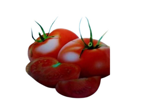 Fresh Hybrid Tomatoes