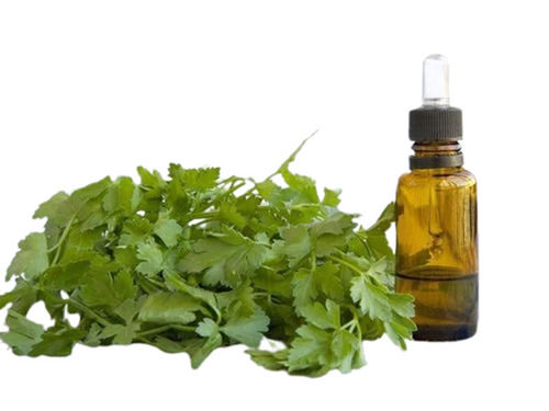 A Grade Chemical Free 100 Percent Purity Liquid Form Non-Edible Parsley Seed Oil